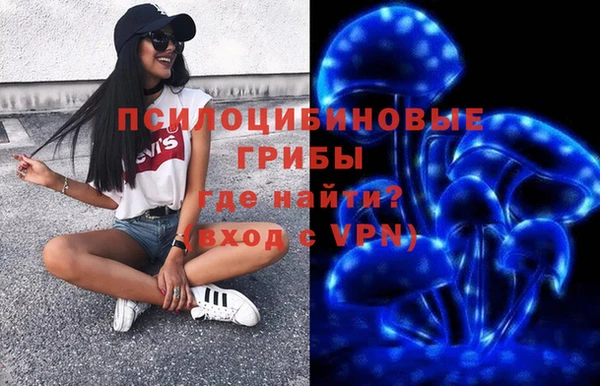 герыч Алзамай