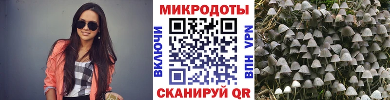 цена наркотик ссылка на мегу ссылки Псилоцибиновые грибы Cubensis Ступино