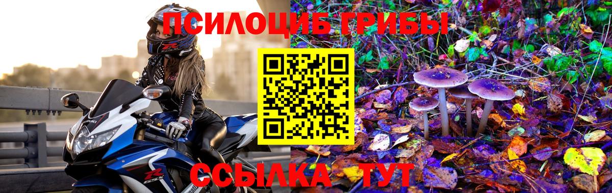 Галлюциногенные грибы мухоморы Ступино
