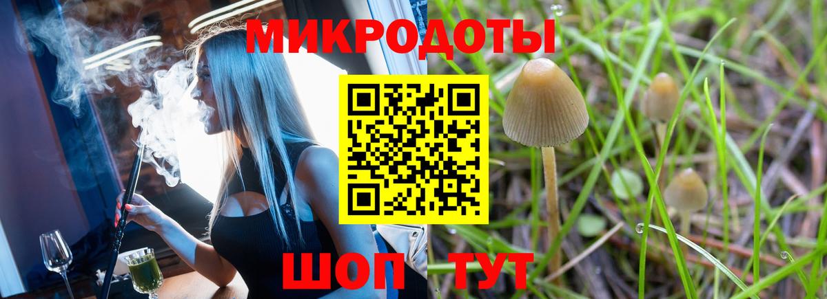 Ступино  Галлюциногенные грибы MAGIC MUSHROOMS  Вход с VPN 